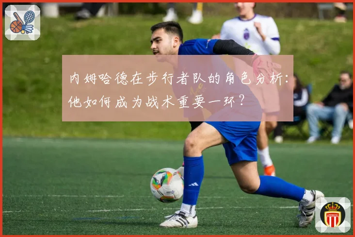 内姆哈德在步行者队的角色分析:他如何成为战术重要一环?
