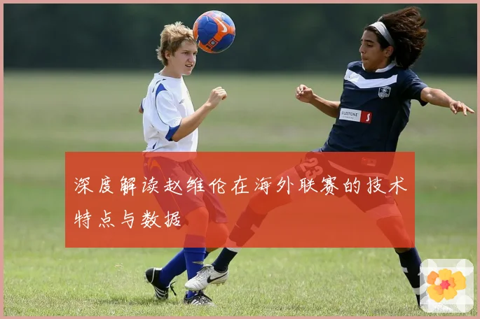 深度解读赵维伦在海外联赛的技术特点与数据