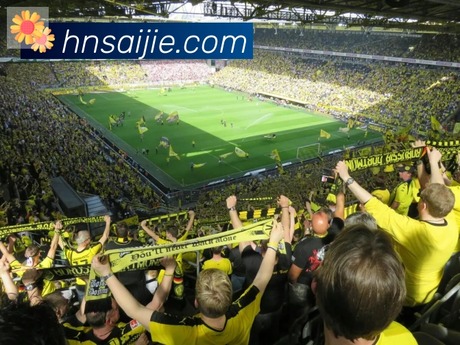 乐鱼网页版在线登录平台生态图