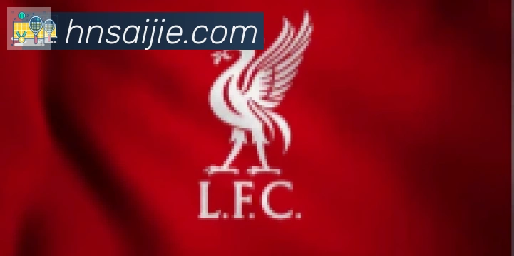 乐鱼网页版在线登录合作伙伴